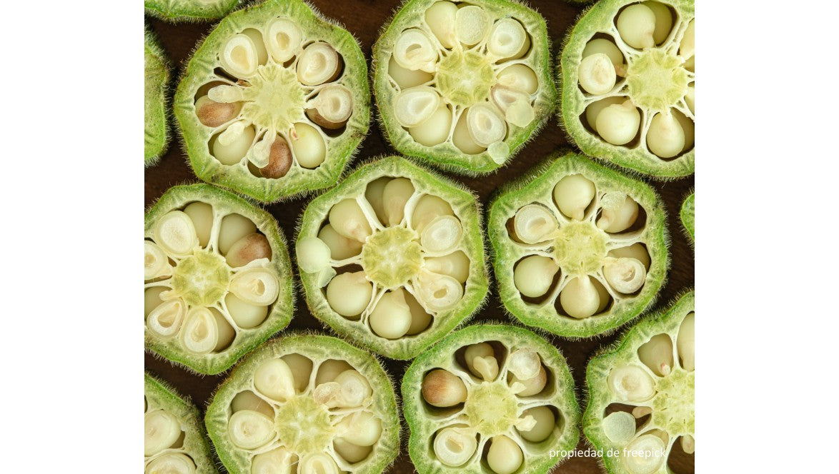 Redescubre la Luffa: El Secreto Natural para un Hogar Más Sostenible