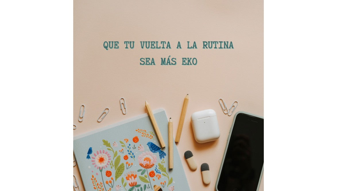 Una vuelta al cole y a la oficina sostenible