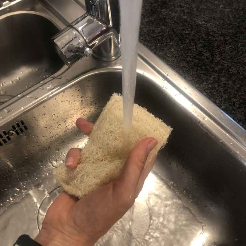 ESTROPAJO DE LUFFA | NATURAL | VEGANO