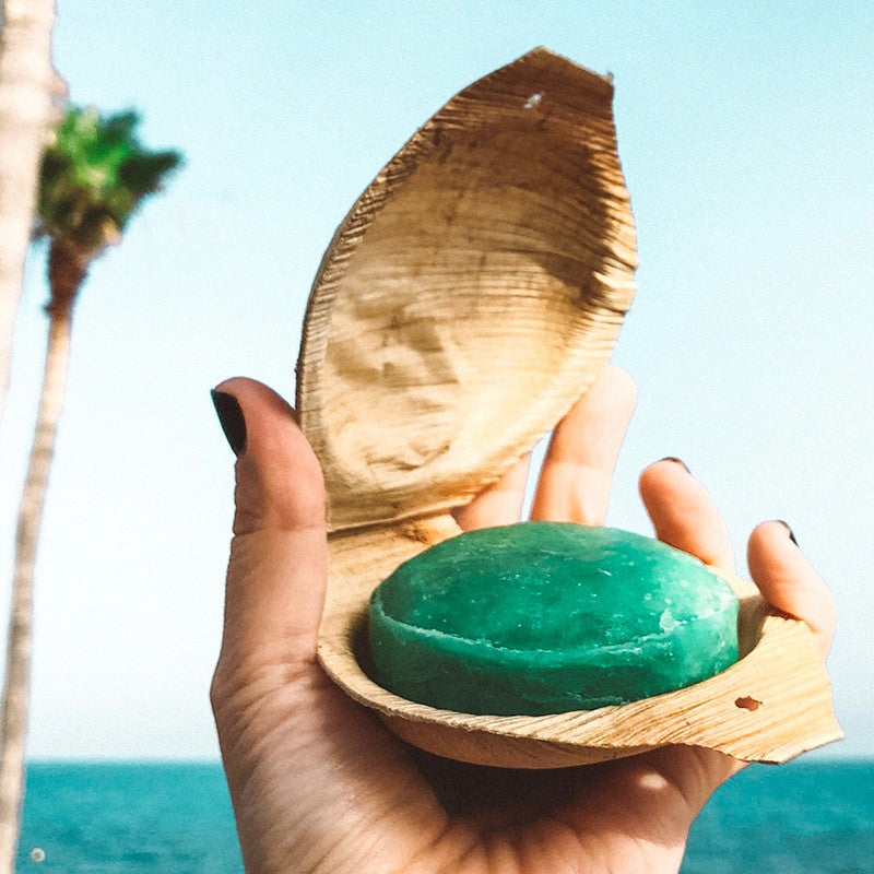 Jabón Ayurvédico Artesanal "Rain Forest" en concha vegetal. VEGANO, vista frontal