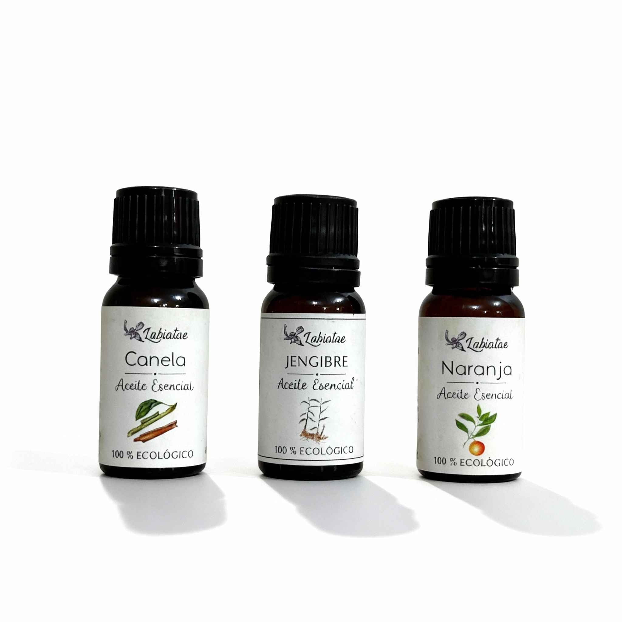 DIY CHRISTMAS AIR FRESHENER KIT WITH ESSENTIAL OILS AND MORE