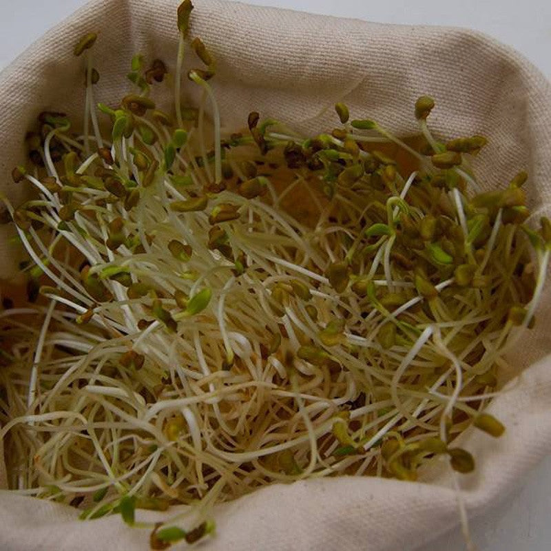 Bolsa para hacer Leche Vegetal y Germinados, vista en uso germinados