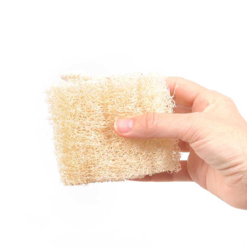 Esponja de Lufa "Blanda" Vegetal pequeña, vista frontal