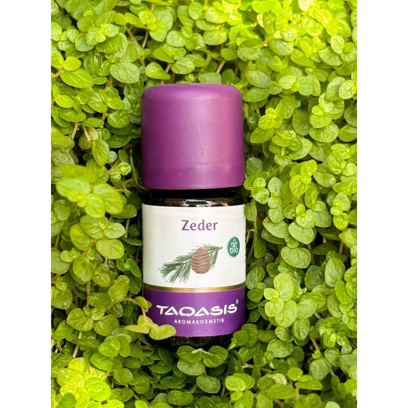 ACEITE ESENCIAL DE CEDRO ATLÁNTICO,5ml. | VEGANO