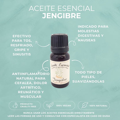 Características del aceite esencial de jengibre ecológico