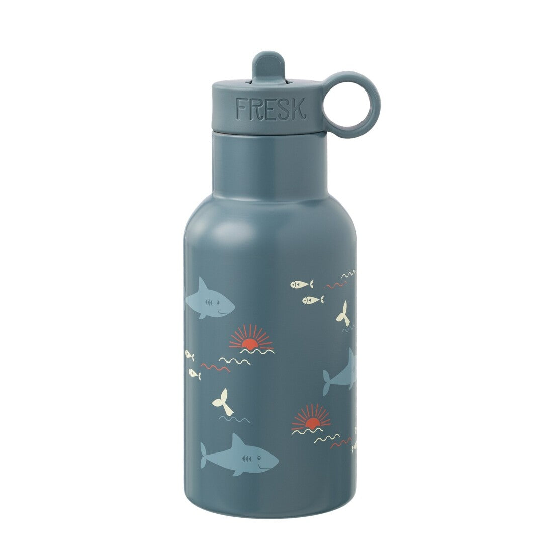 Thermal Bottle | 2 Caps | 350ml | Choose Model | Vegan