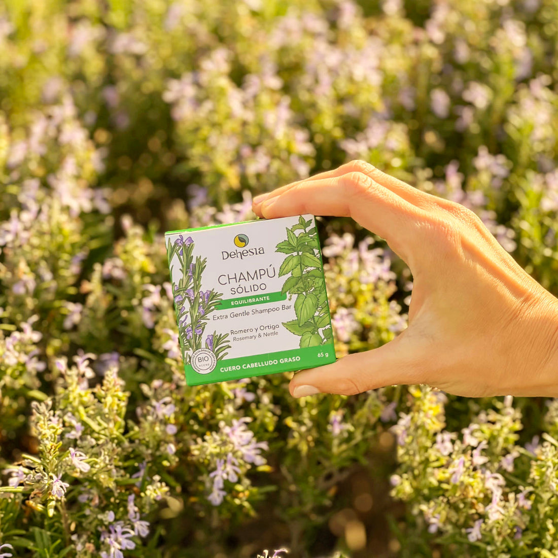 CHAMPÚ | CABELLO GRASO | BIO | VEGANO