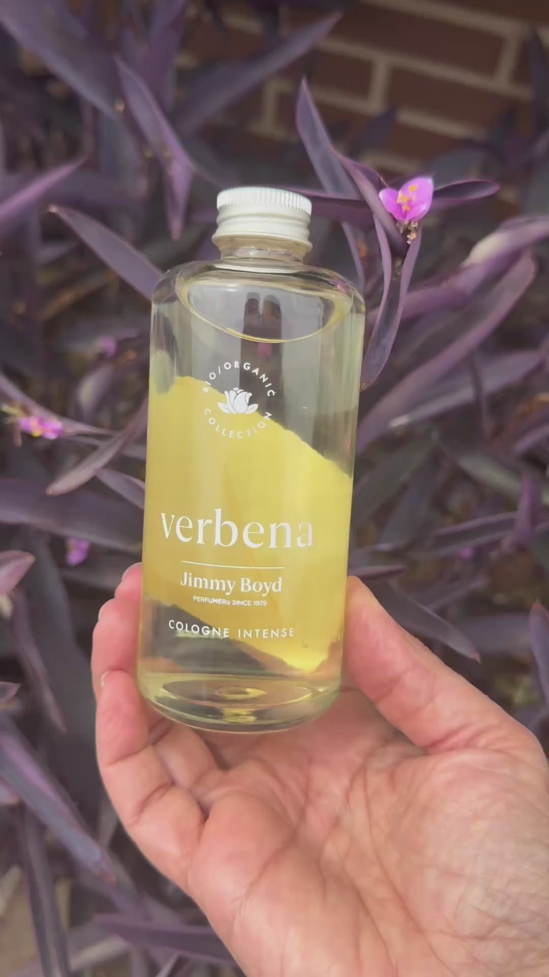 Colonias ecológicas